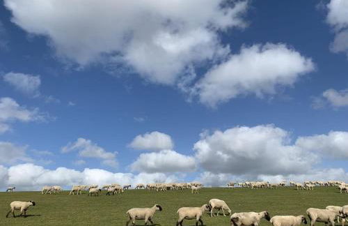 Old Bakery - Former Stable - Foto 49