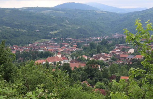 Charming 2bed Cottage in Carasova, Banat Mountains - Foto 34