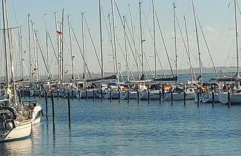 Ferienhaus Seeschwalbe - Foto 26