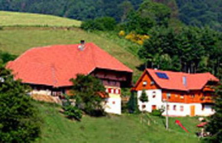 Schwoererhof - Photo 8