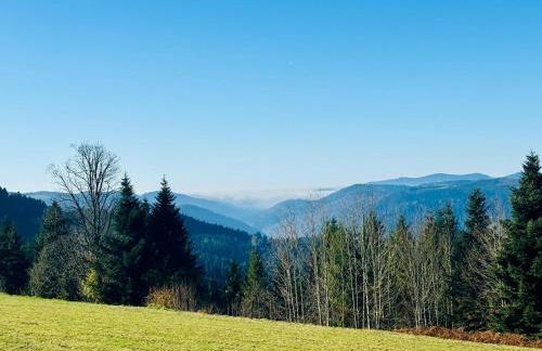 Schorsch's Ferienhaus - Foto 40