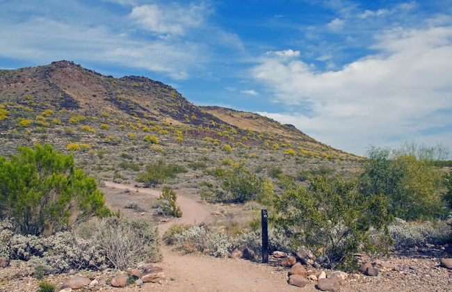 Vista Retreat Vacation Home - Foto 40