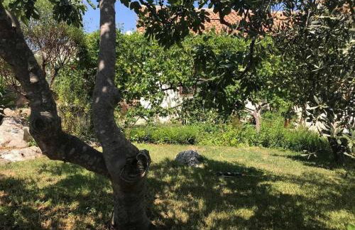 Apartments Ruzica - Foto 42