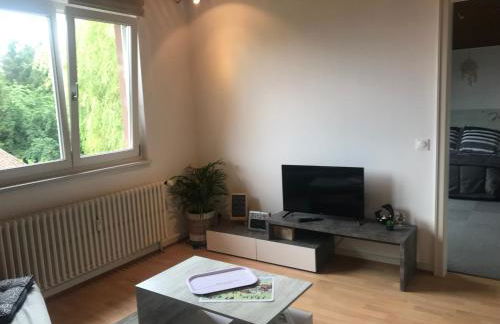 CasaSavernoise O SONHO appart2 - Foto 30