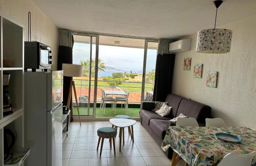 Vue mer et sur la baie de Cannes piscine 450m2 randonnée VTT au pied de l Esterel - Foto 18