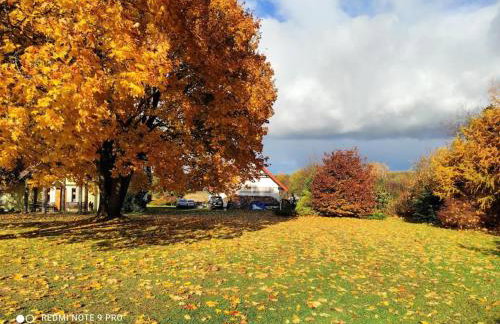 Komfortowy dom wakacyjny dla kilku rodzin - Foto 16