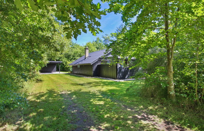 "Nissine" - 50km from the sea - Foto 6