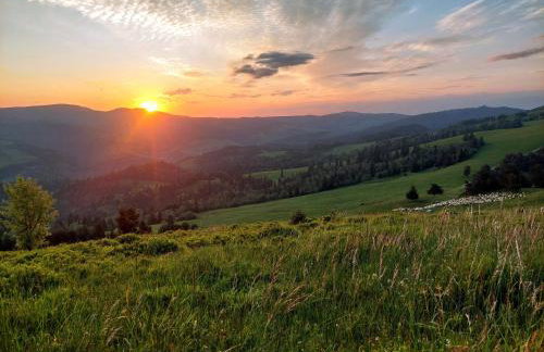 Willa Przekop - apartamenty - Foto 49