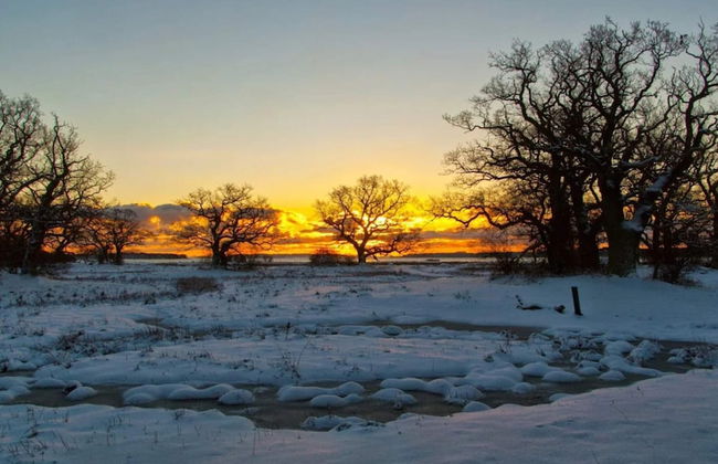 6 Person Holiday Home in Kettinge - Foto 25