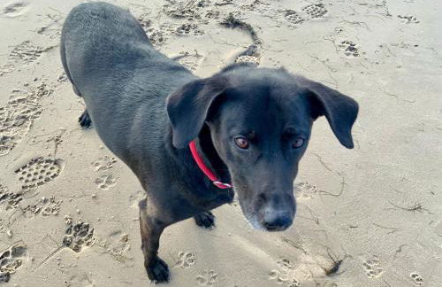 Am Horumertief - Foto 30