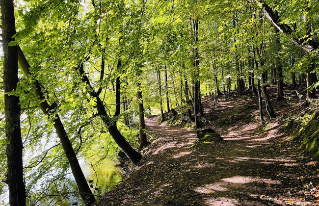 Villa relaXotic - Photo 39