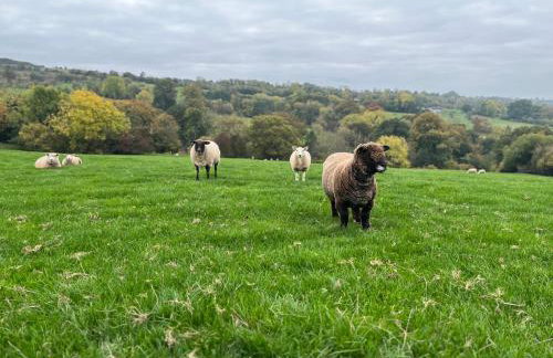 Shepherds Cabin at Titterstone - Foto 17