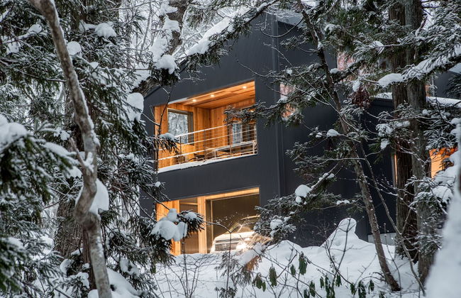 Phoenix Cocoon - Foto 41