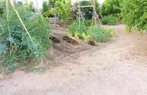 Hort de la Cinteta - Foto 76