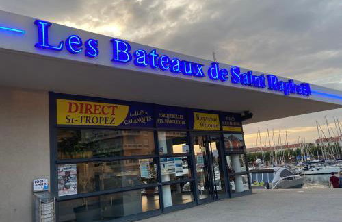 Domaine Valescure vue Piscine ou Pinede - Wifi - Foto 54