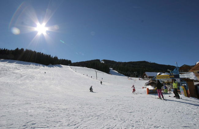 Comfortable Apartment in Lungau Valley with Hot Tub - Foto 39