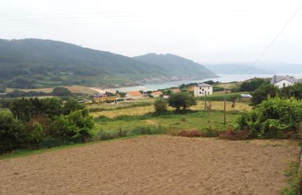 Casa Viveiro - Foto 36