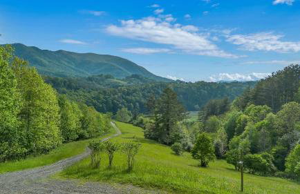 Mountain Top Cabin! Hot tub, Fireplace, Dog Friendly - Photo 27