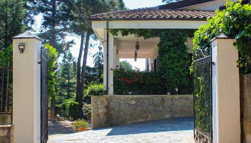 Villa Curcio casa vacanze - Photo 2, Garden view