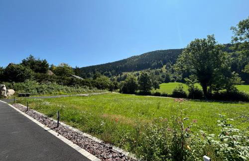 Le Grand Perce Neige & Jacuzzi à proximité de Gérardmer - Foto 17