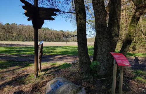 Ferienwohnung Salinchen - Foto 20