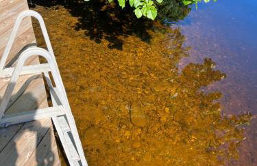 Camp Lake Bear - Foto 73