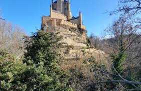Aurea - Foto 9