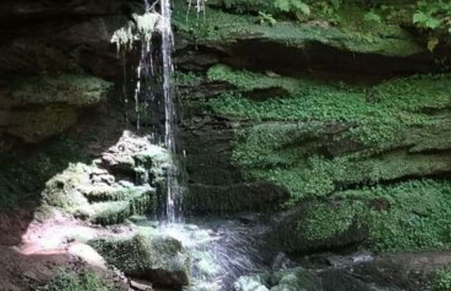 Holiday Apartment Rappenfels Lodge - Photo 38