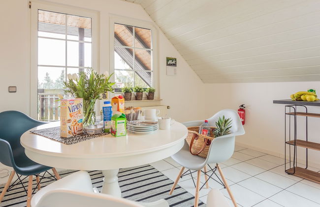 Schwalbe in der Heide - Foto 11