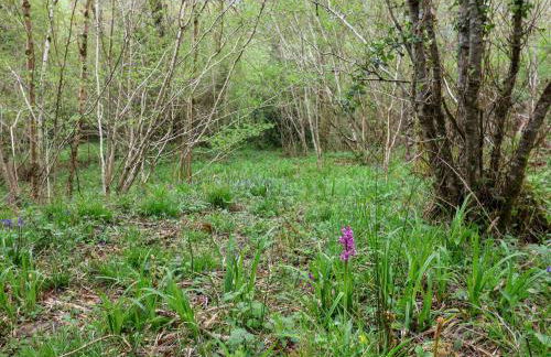 Oak Shepherd Hut - Photo 33