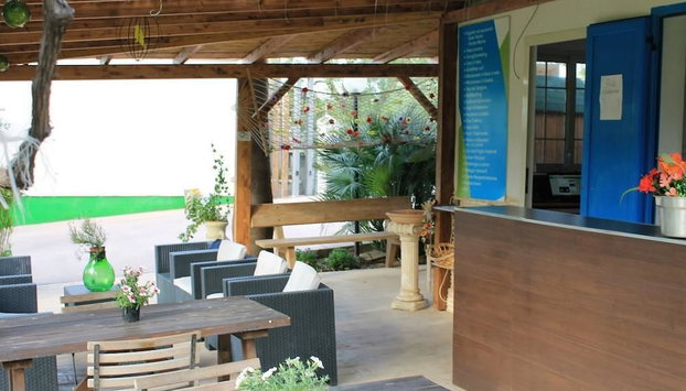 Green Garden eco-holiday - Foto 4, Recepción