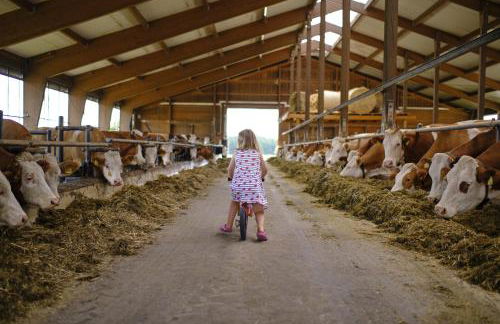 Huberhof Hinzing Ferienbauernhof - Photo 12