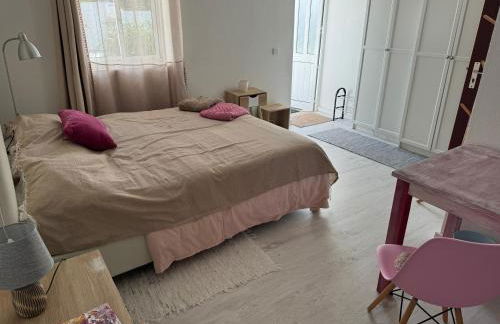 Octopus Space - Foto 9