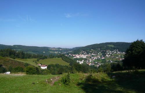 Chalet luxe 12 personnes SPA SAUNA VOSGES-GERARDMER - Foto 42