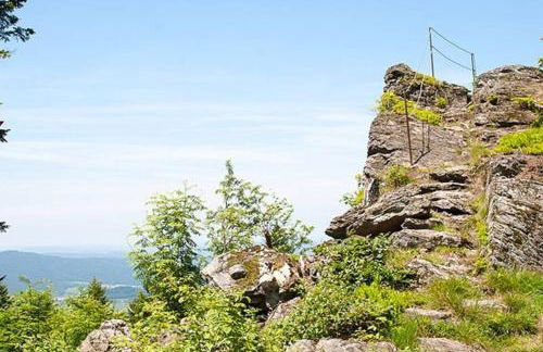 Bayerwald Chalet Kaitersberg mit Sauna, Sonnenterrasse und Garten - Foto 22