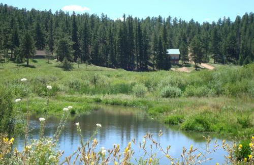 Impressive Cabin Rental with Views of Pike National Forest near Colorado Springs, Colorado - Foto 26