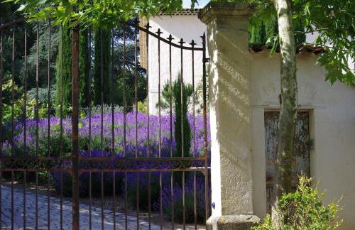 On dirait LE SUD - Foto 9