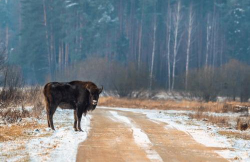 Lipowy Zakątek to miejsce bez gospodarzy i na wyłączność - Foto 31