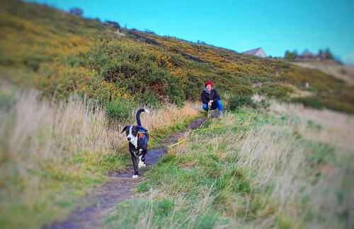 The Coach House & The Stables Yorkshire Peak District With and without hot tub options - Foto 48