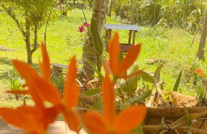 Rancho Esperança, pouso e comida a lenha - Foto 52