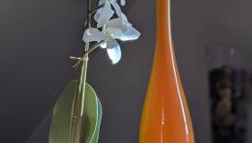 Les Perles du Ried - Gîte 2 proche Europapark Strasbourg Colmar - Foto 5