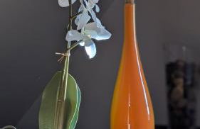 Les Perles du Ried - Gîte 2 proche Europapark Strasbourg Colmar - Foto 5