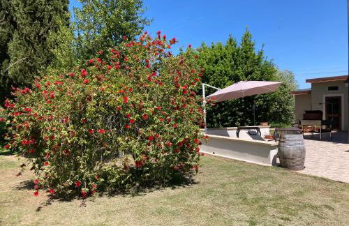 Le Giuncaie - Vigna con alloggio - Foto 30