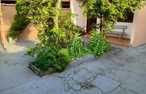 Casa Tapajos - Foto 9