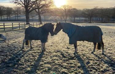 The Barn New Forest Free Paddle boarding & free Zip wire. - Foto 27