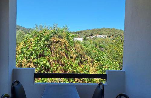 Petite Economy Lodge - Foto 14