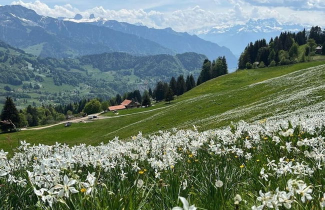 La Vigneronne, Uitzicht op het Meer - Foto 6