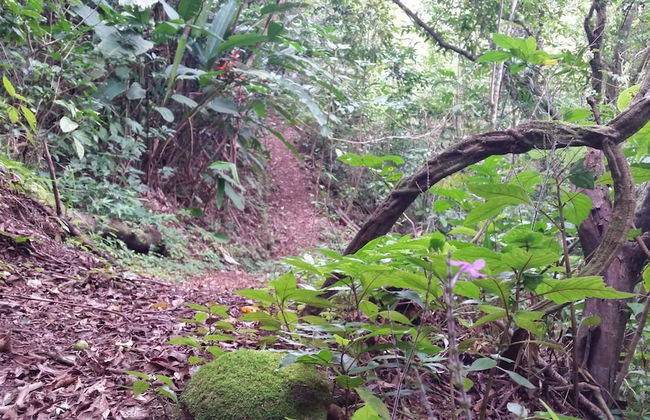 Los Pinos Cabanas y Jardines - Photo 41