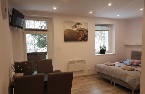 Apartamenty u Sikory - Foto 1