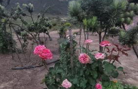 Chalé Gravatinha - Foto 13